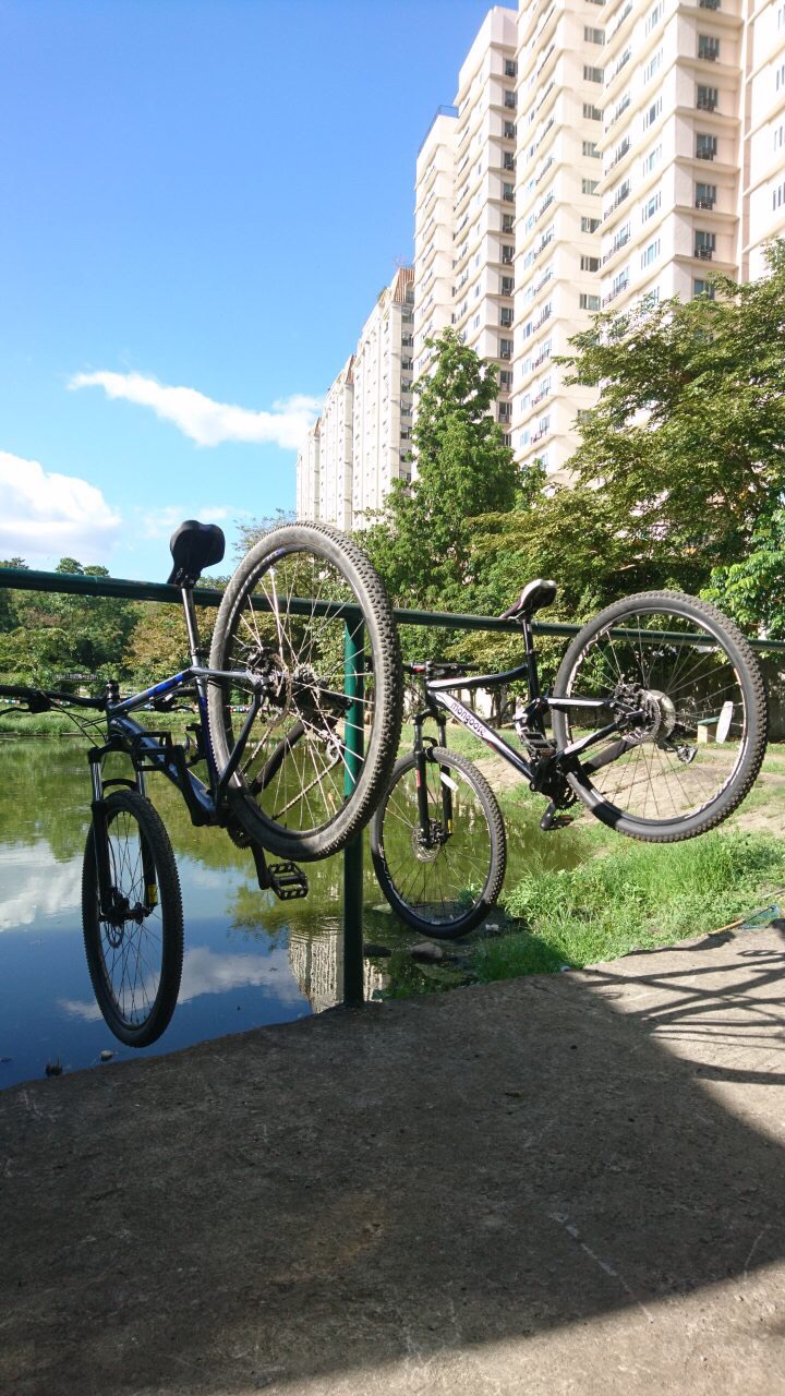 Car-Free Sunday Mornings