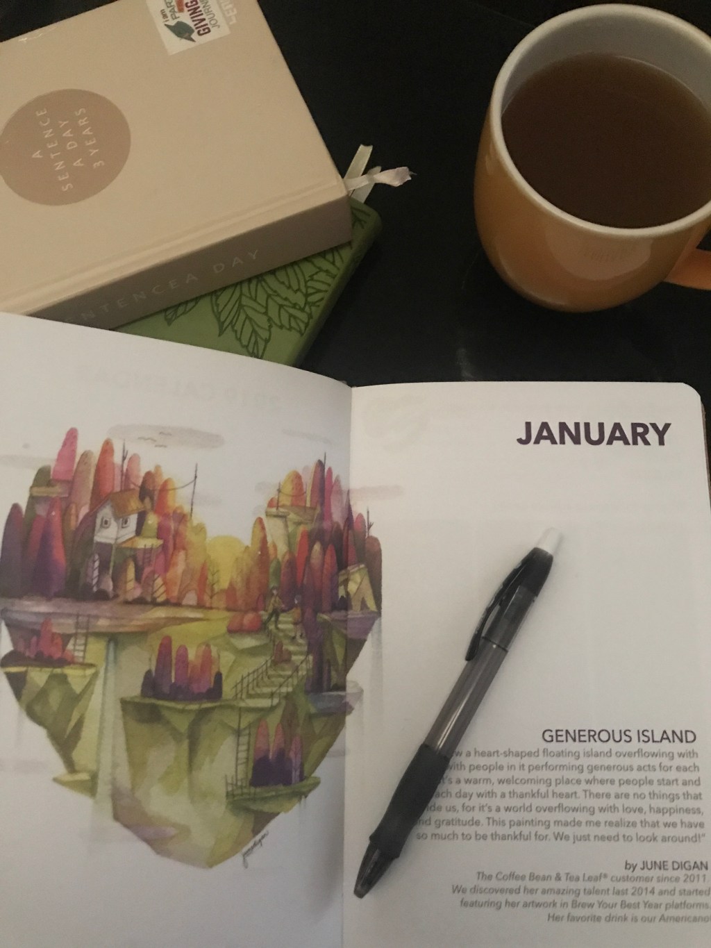 Musings and New Year’s Resolutions