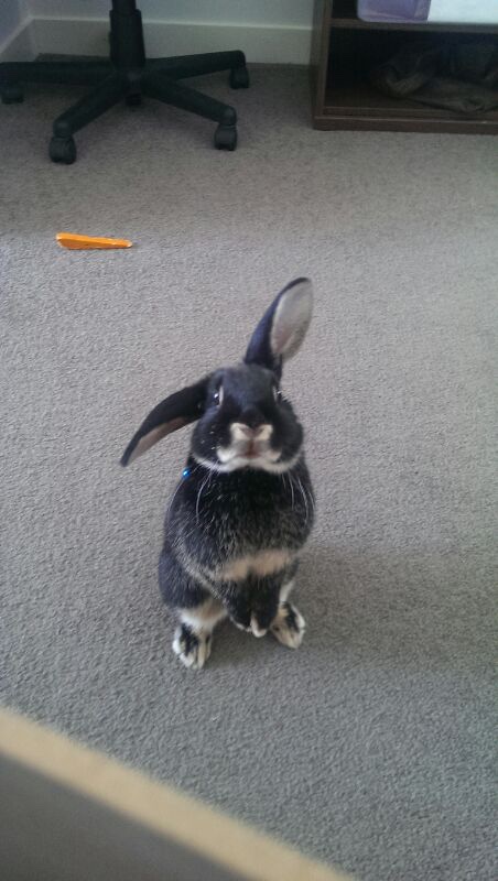 6542c2ee-84eb-4c12-8f9d-f2252759156d