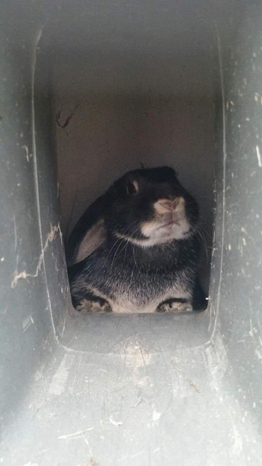 db3443dd-ab49-4aa1-b882-802aad3bf9de