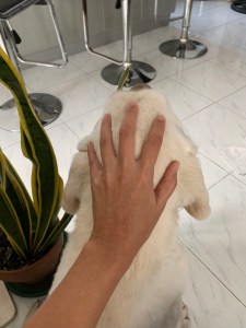 Through the years, my sweet boy