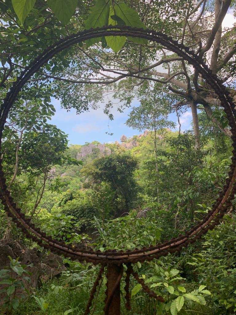 Remains of an illegal logger’s saw