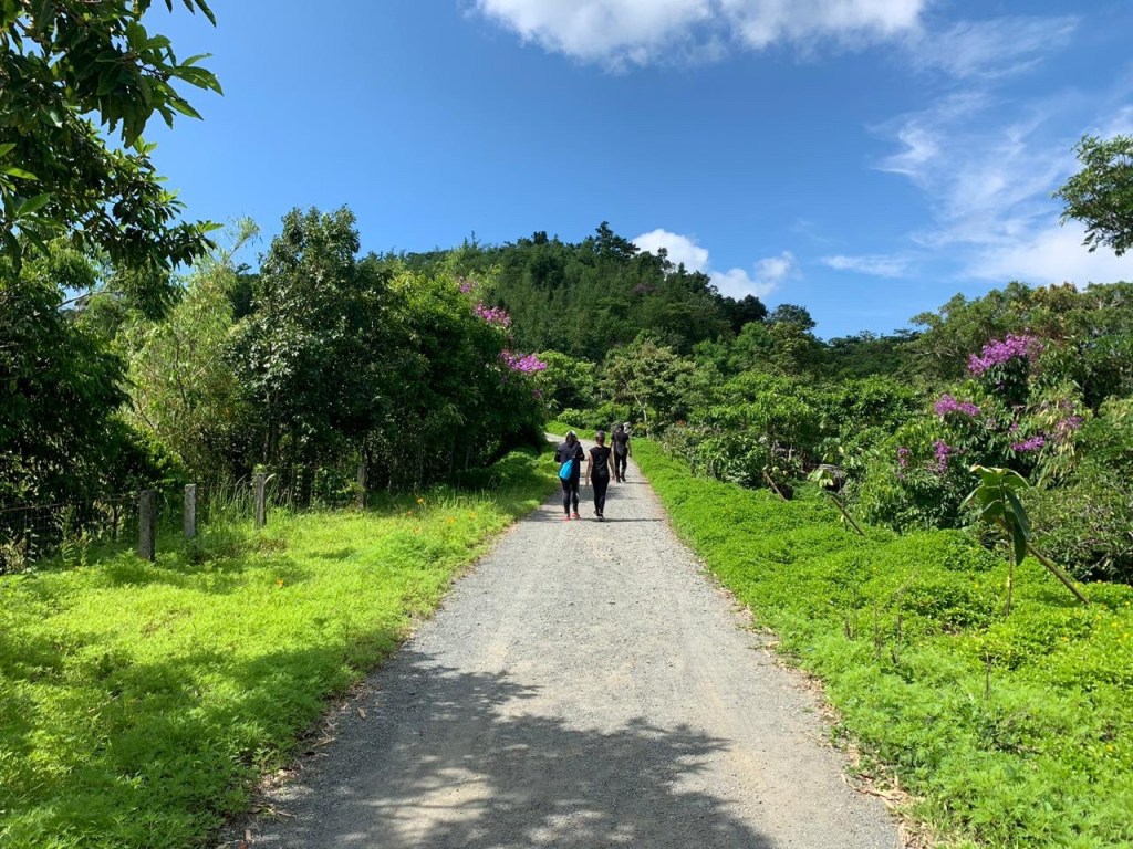 En route to the Masungi Georeserve