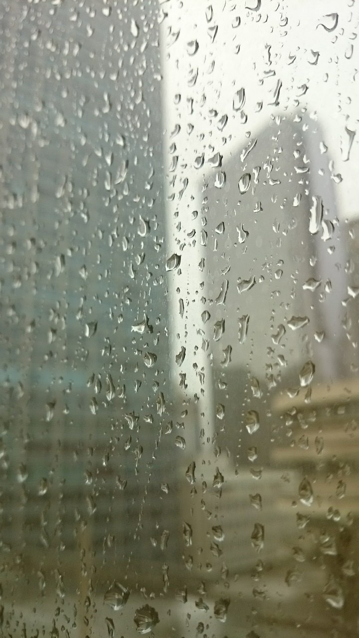 Rainy afternoon view from my window