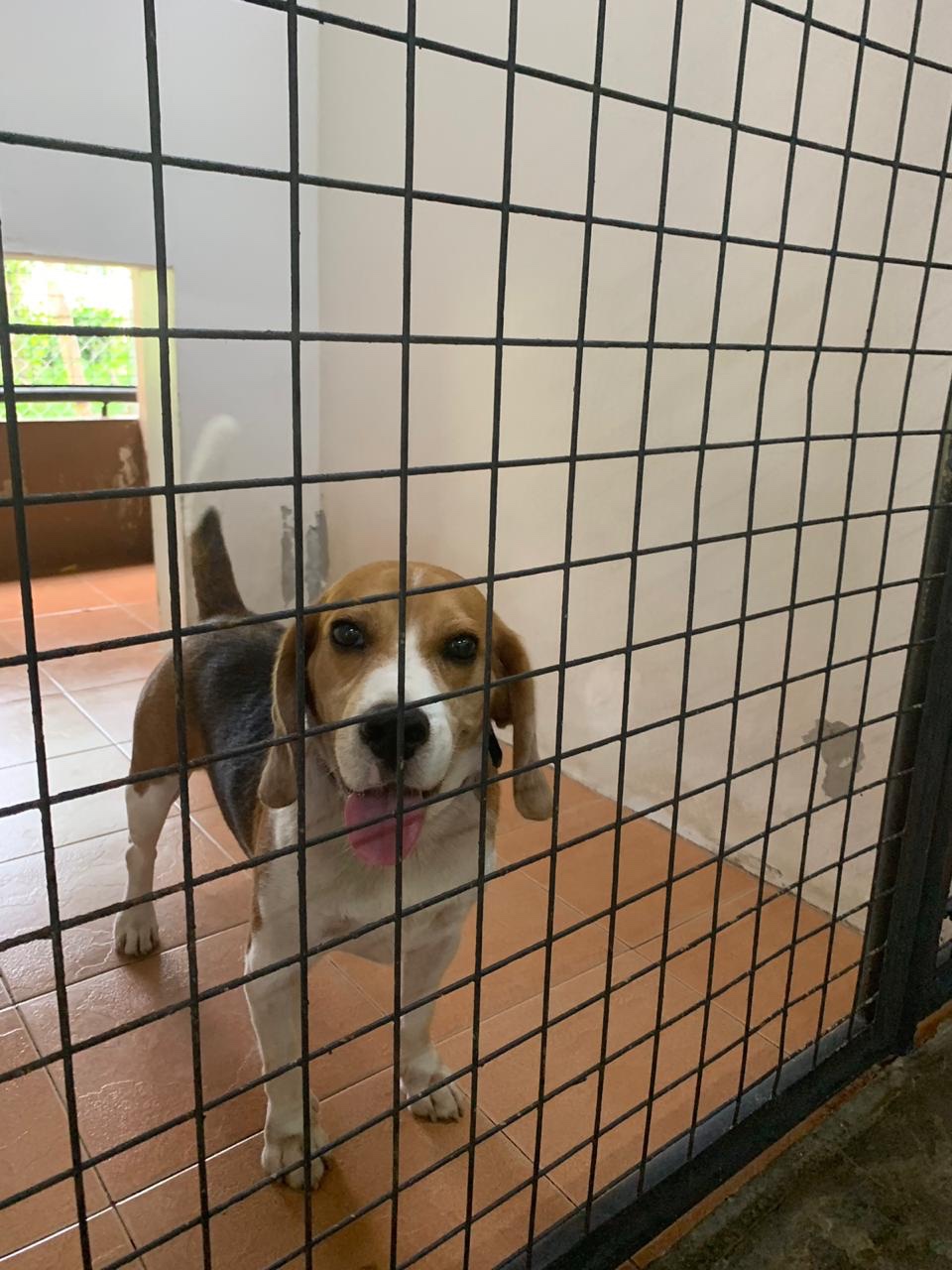 Friendly little fella