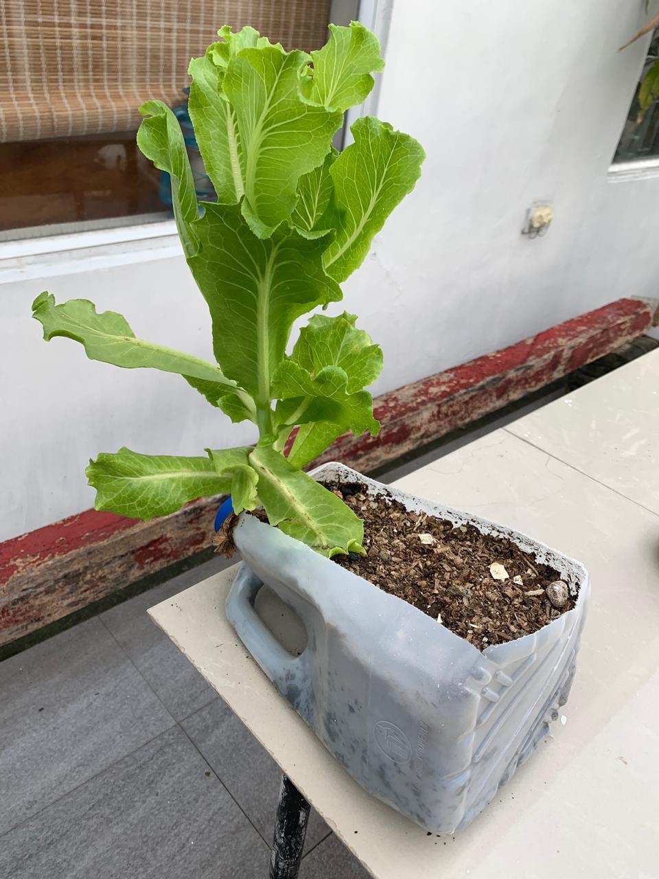 17e077a1-ec95-4652-ae72-be161485337b