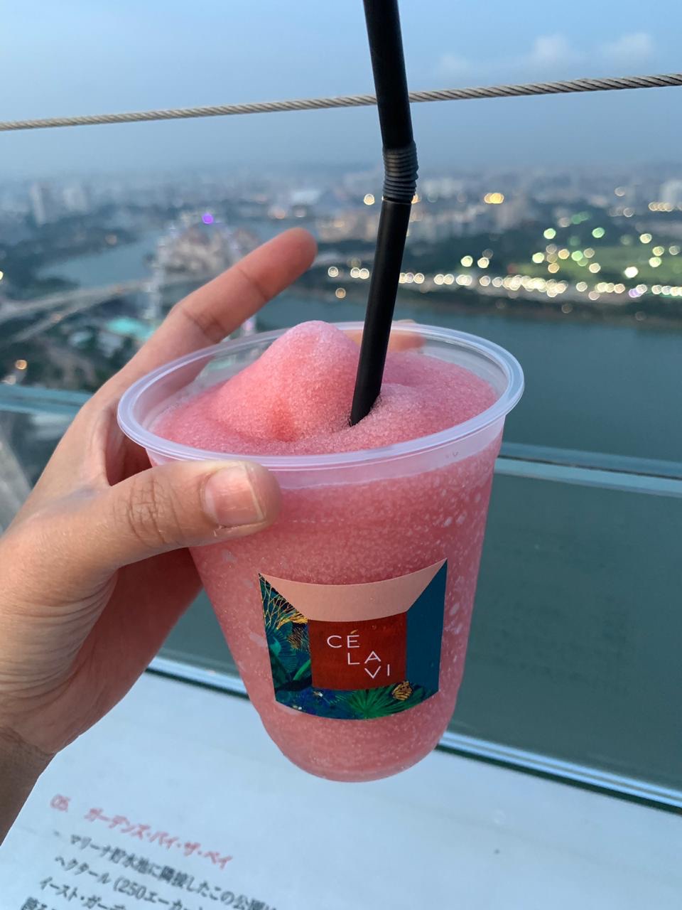 Singapore Sling at the Marina Bay Sands