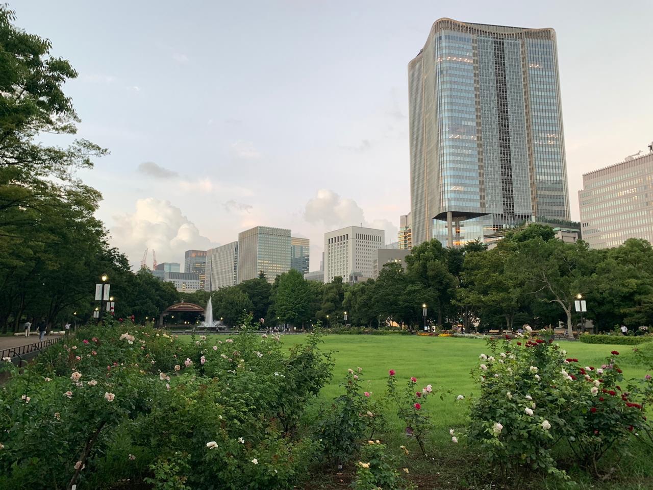 f15c67a3-1967-4bd3-877a-156d957a70a1