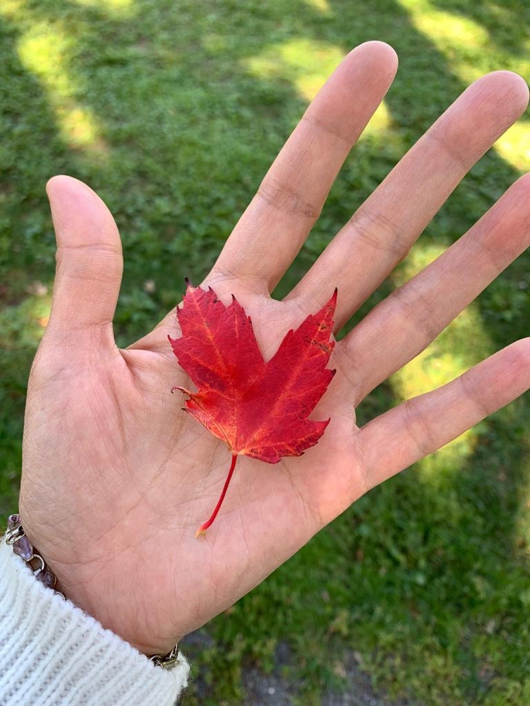 04637ca8-84bd-4952-8727-2161344f5009