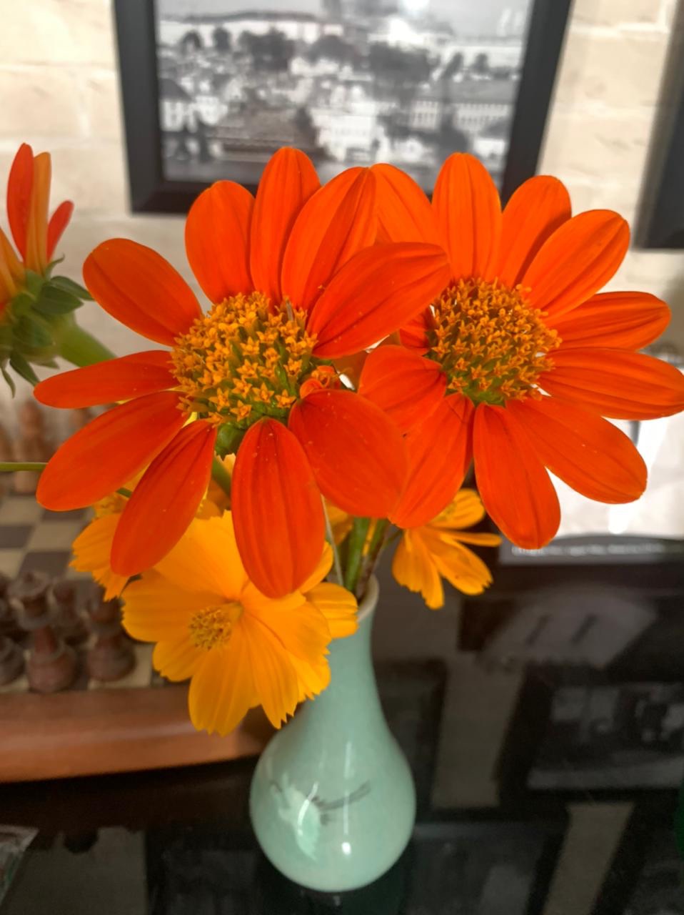 Cheers to a New&nbsp;Year!