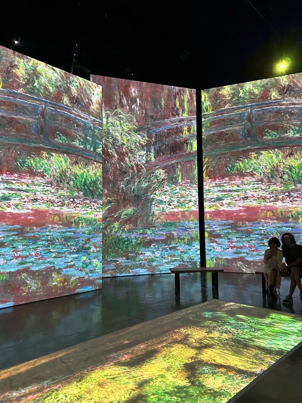 Monet and Friends Alive